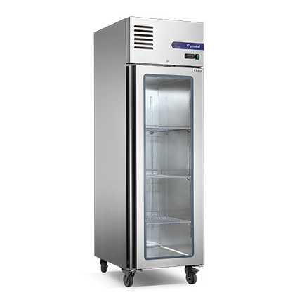 1 Glass Door  Fancooling Upright Freezer