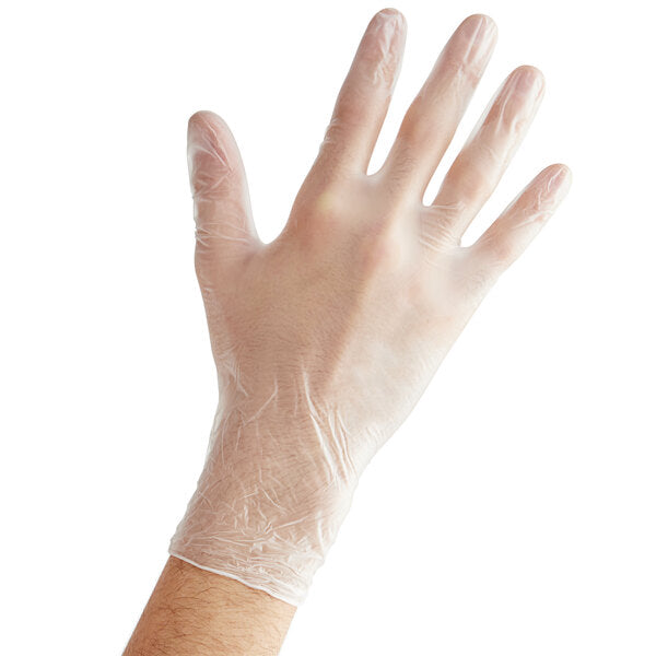 Free Disposable Vinyl Gloves for Foodservice - Case of 1000 (10 Boxes of 100)