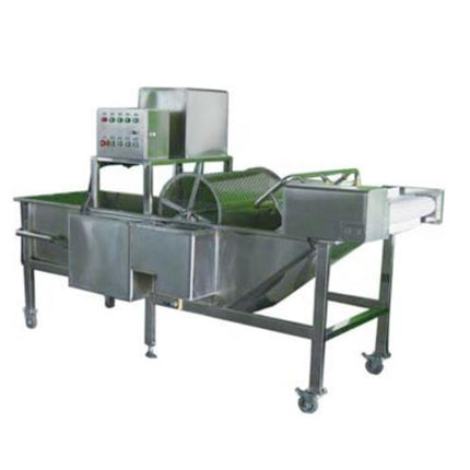 Automatic Vegetable Washer